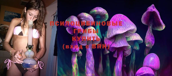 винт Армянск