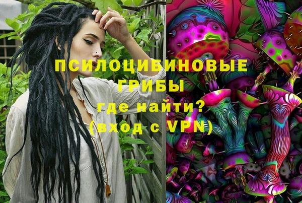 винт Армянск