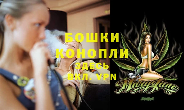 винт Армянск