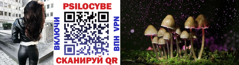 Псилоцибиновые грибы GOLDEN TEACHER  что такое   Лобня 